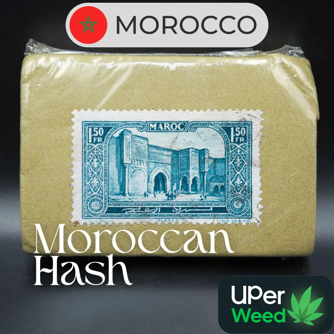 Moroccan Hash 95 THC Mountains Worldwide photo 2