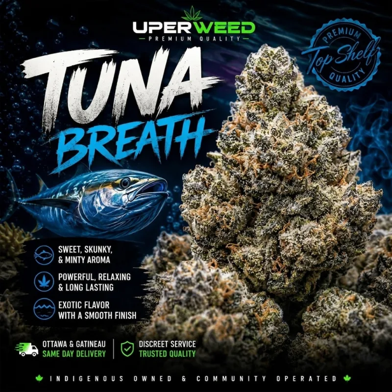 Tuna Breath photo 1