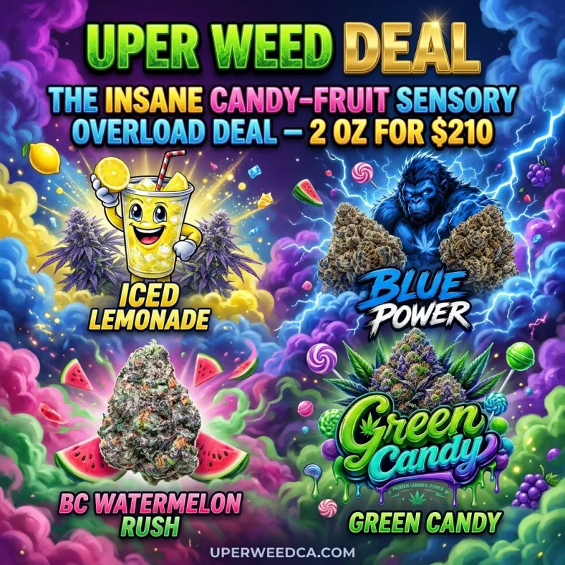 The Insane Candy-Fruit Sensory Overload Deal – 2 Oz for $210 photo 1