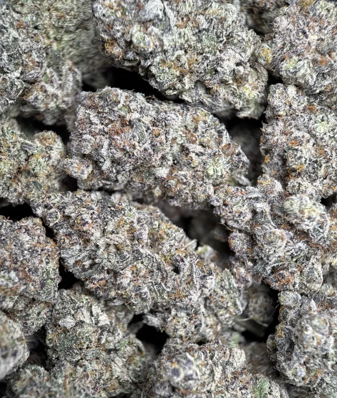 Amnesia Gold 6A+ photo 5