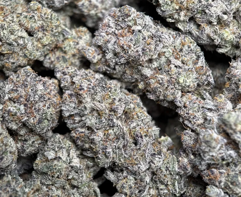 Amnesia Gold 6A+ photo 7