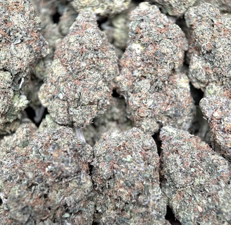 Astro Kush photo 1