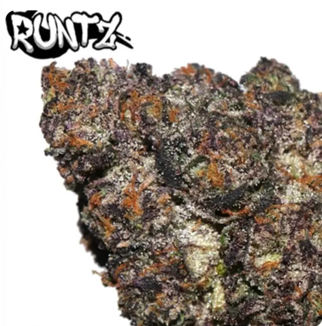 Black Runtz photo 1