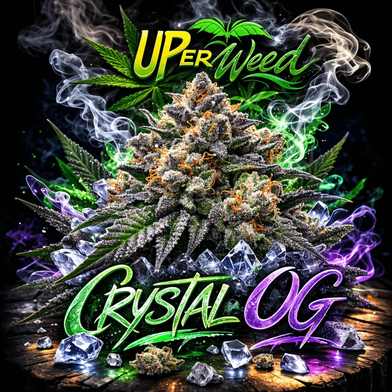 Crystal OG photo 1