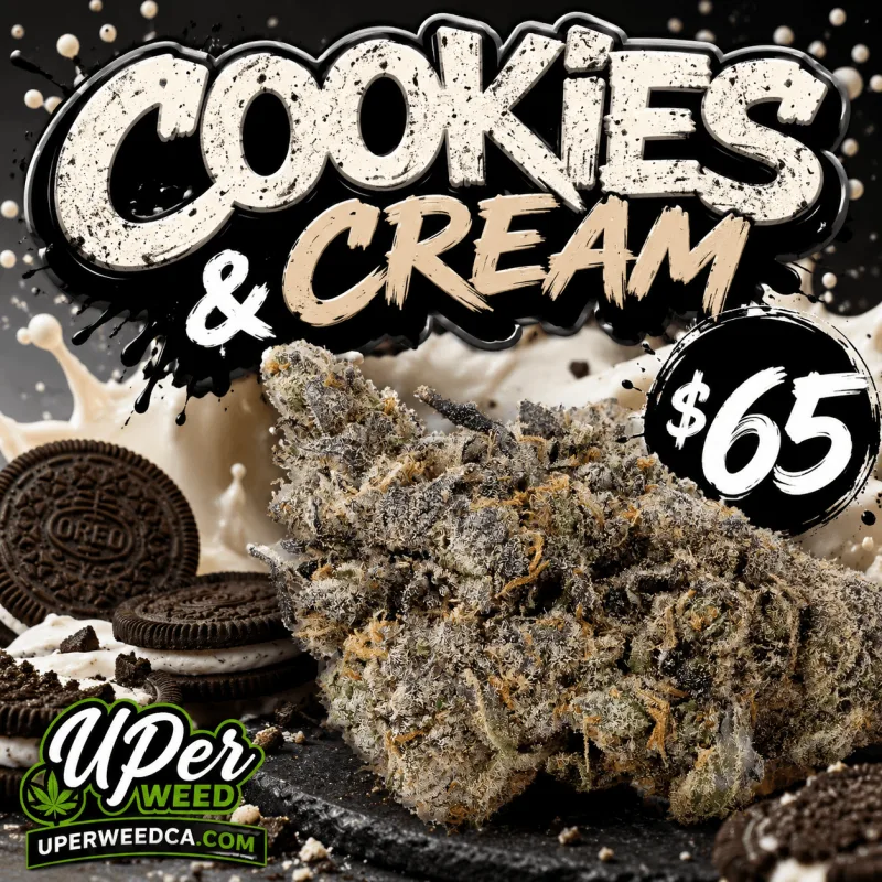 Cookies & Cream photo 1