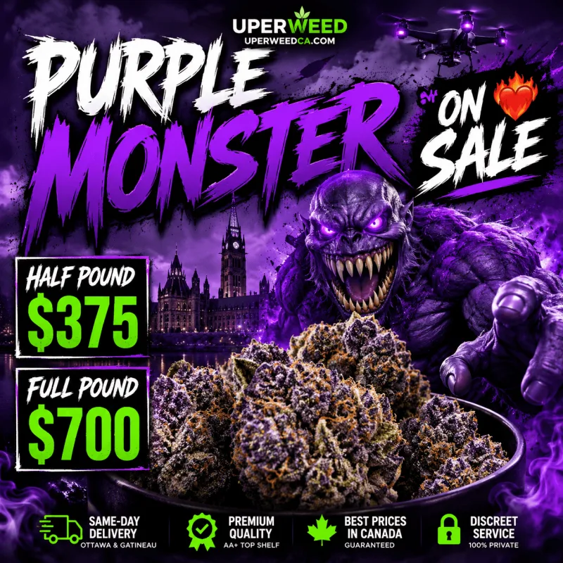 Purple Monster photo 1
