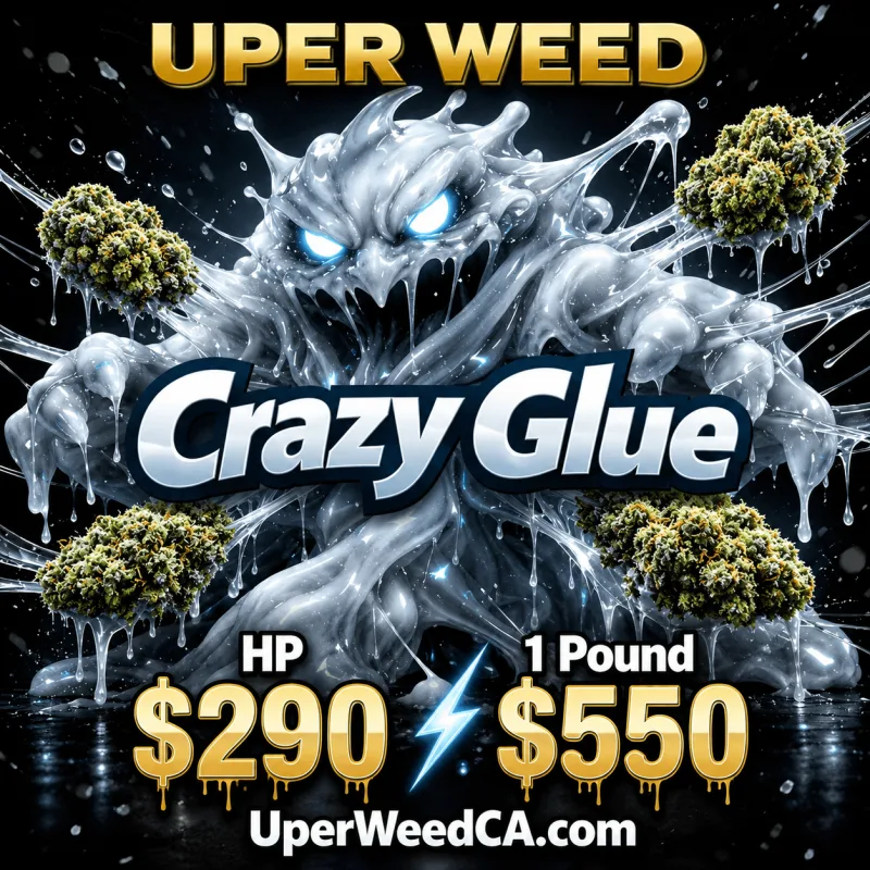 Crazy Glue photo 1