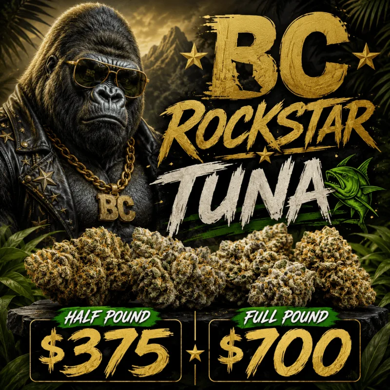 BC Rockstar Tuna photo 1