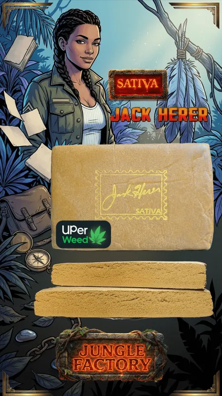 Insane OG Hash photo 8