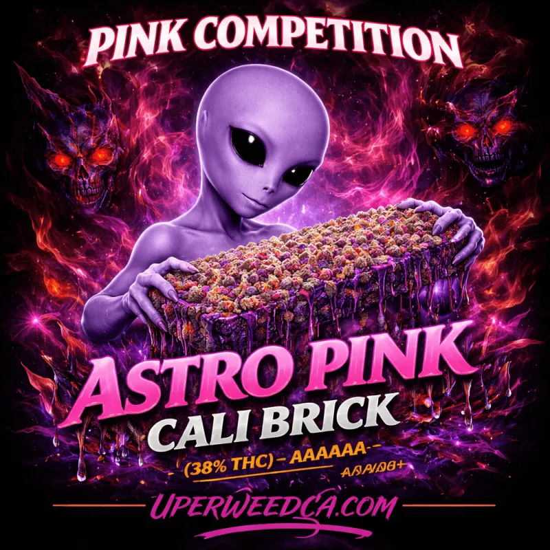 Pink Competition photo 1