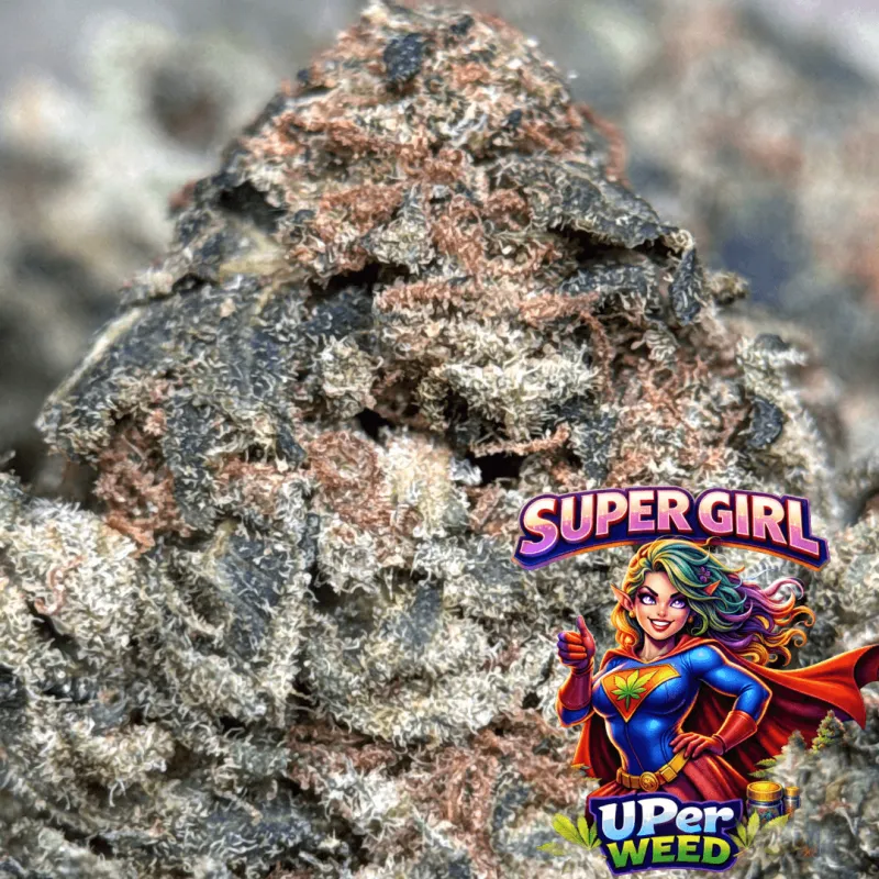 Super Girl photo 1