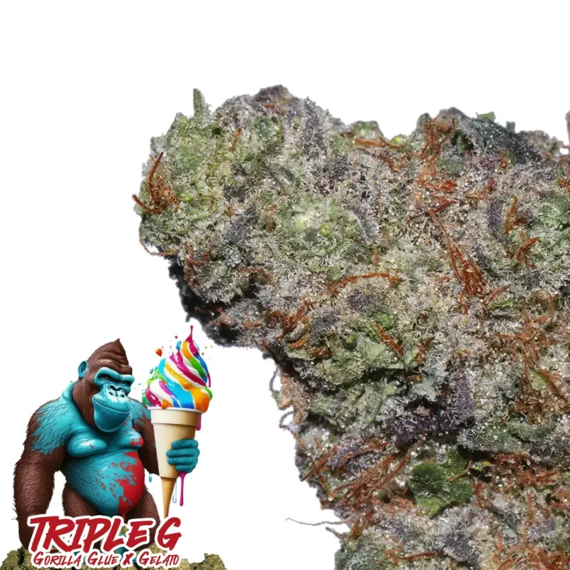 Triple G photo 1