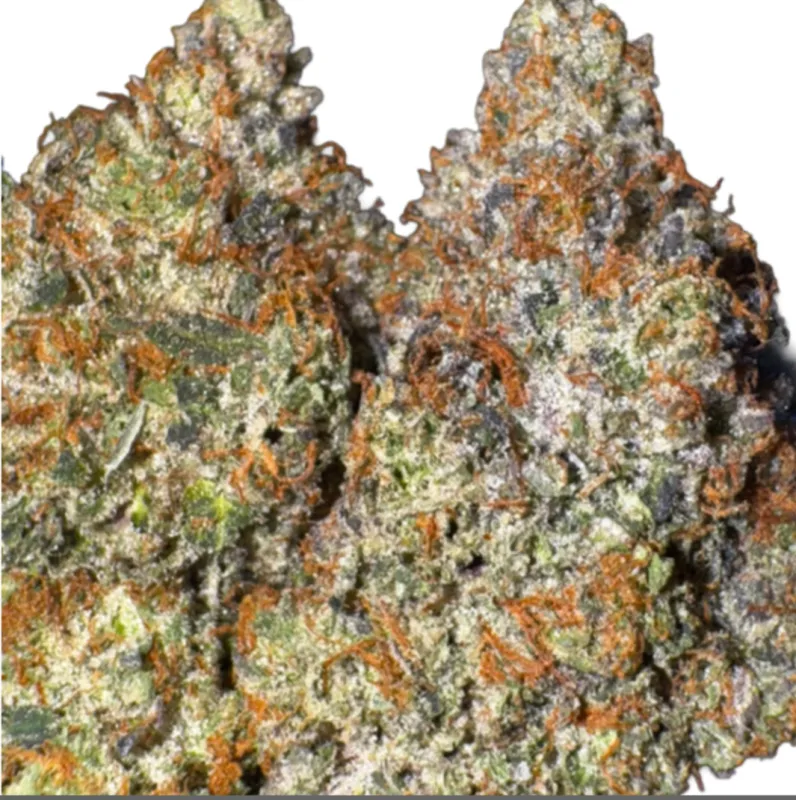 Zombie Kush photo 1